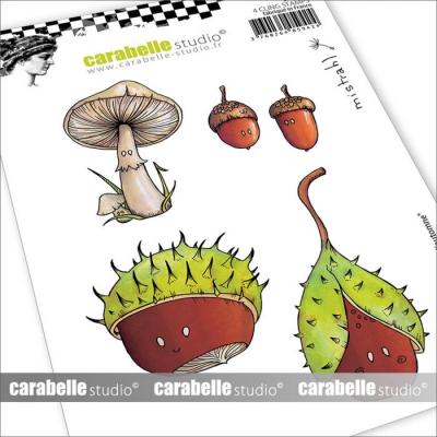 Carabella Studio Cling Stamps - Autumn Fruit